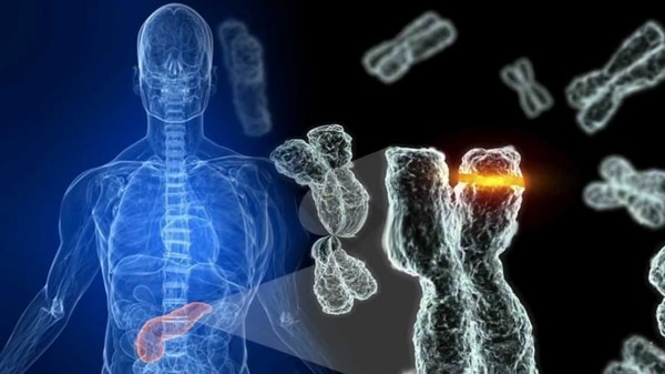 Tratamientos bioregenerativos